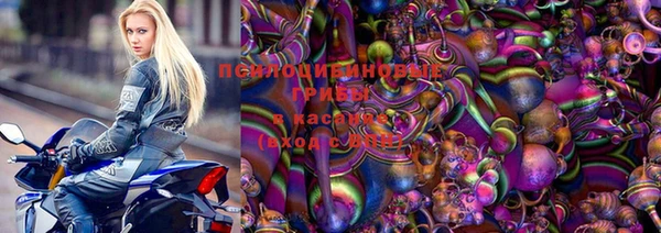 PSILOCYBIN Мегион